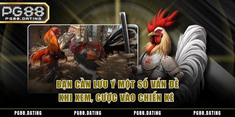 Bạn cần lưu ý một số vấn đề khi xem, cược vào chiến kê