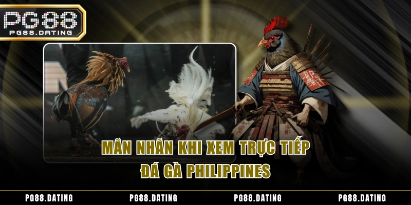 Mãn nhãn khi xem trực tiếp đá gà Philippines