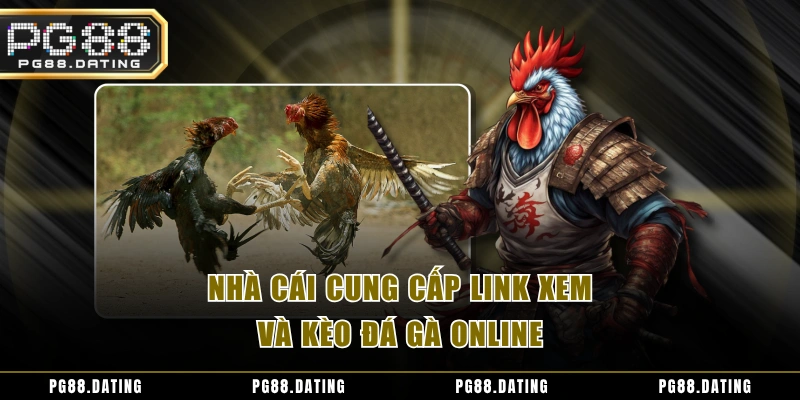 Nhà cái cung cấp link xem và kèo đá gà online