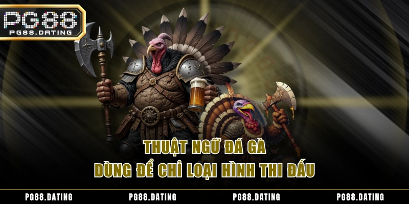 Thuật ngữ đá gà dùng để chỉ loại hình thi đấu